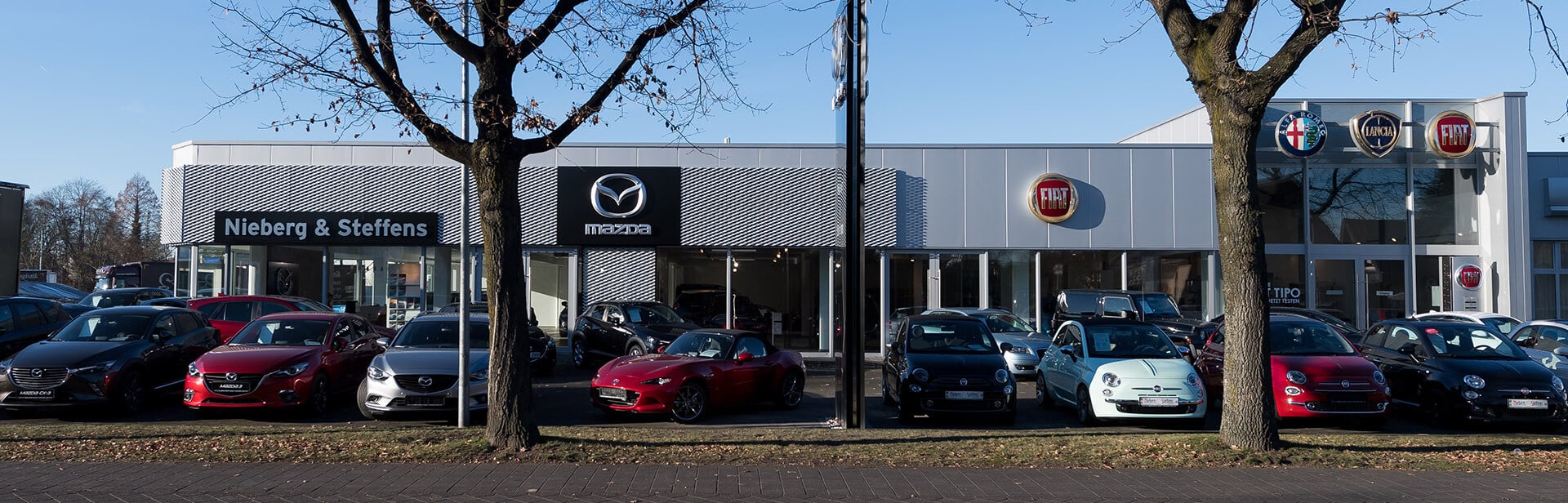 Autohaus Nieberg & Steffens. Mehrere Autos, darunter Mazda und Fiat Modelle, stehen vor dem Gebäude geparkt. Das Autohaus zeigt Logos von Mazda, Fiat, Alfa Romeo und Lancia. Zwei Bäume stehen im Vordergrund.