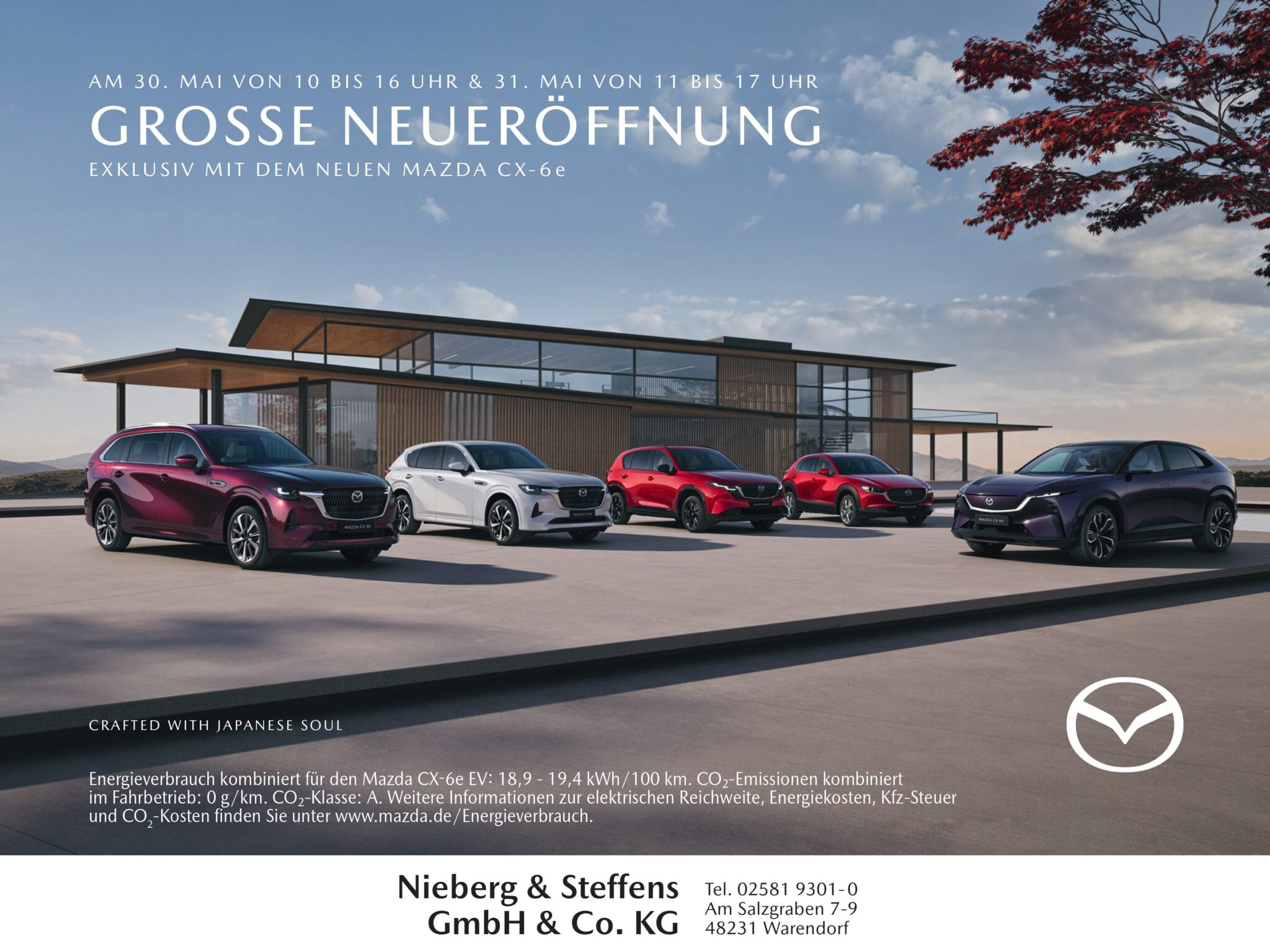 Neueinsatz Nieberg Steffens